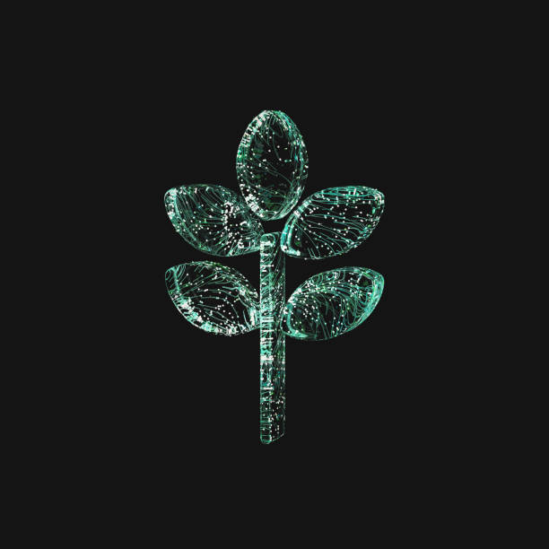 3d rendering