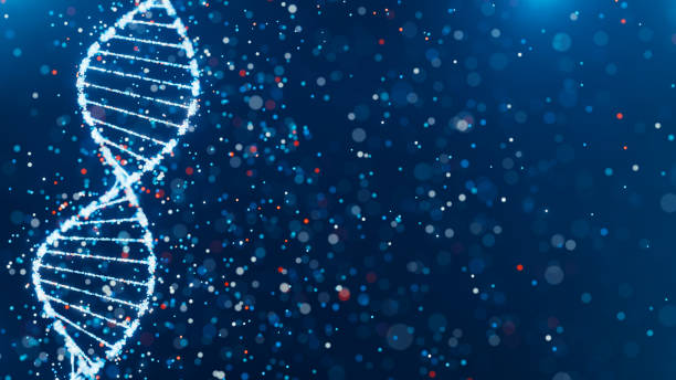 istock Sparkling DNA helix structure in blue and red. High-tech concept of genetic research, bioinformatics, and computational biology. 2153790372