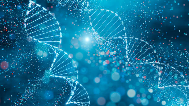 istock DNA double helix with sparkling nodes in a dynamic blue environment. Genomic sequencing, molecular biology, and genetic data analysis. 2153790378