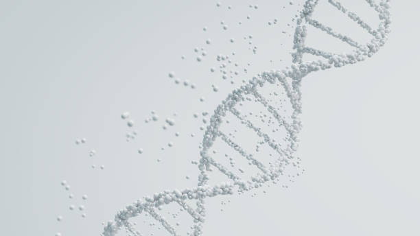 istock 3D rendering of a DNA molecule in white with particles against a light background, scientific purity and genetic analysis. 2153790382