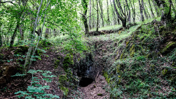 istock Dirt road in a forest in northern Spain 2153796729