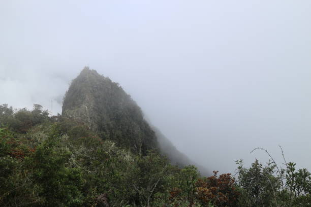 The historic and stunning city of Cuzco, known for its impressive buildings and churches, is captivating both day and night. Experience the world heritage site of Machu Picchu, journeying by train to the ruins and ascending the mountain. Also, explore the vibrant Rainbow Mountain and traverse the valley to reach it.