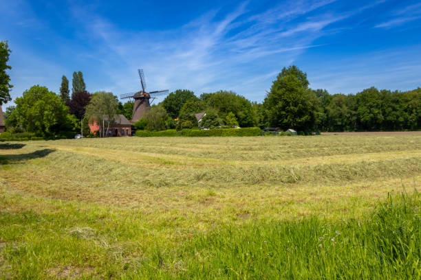 Public Dybbøl Mølle (Mill), near Sønderborg, Denmark. As a building, Dybbøl Mill is neither particularly old nor very special. The mill’s iconic significance as a Danish symbol is due to its location at the top of the Dybbøl Banke. Here it became the centre of the fierce fighting in the wars of 1848-49 and 1864. During both the Schleswig Wars, it was destroyed but rebuilt.