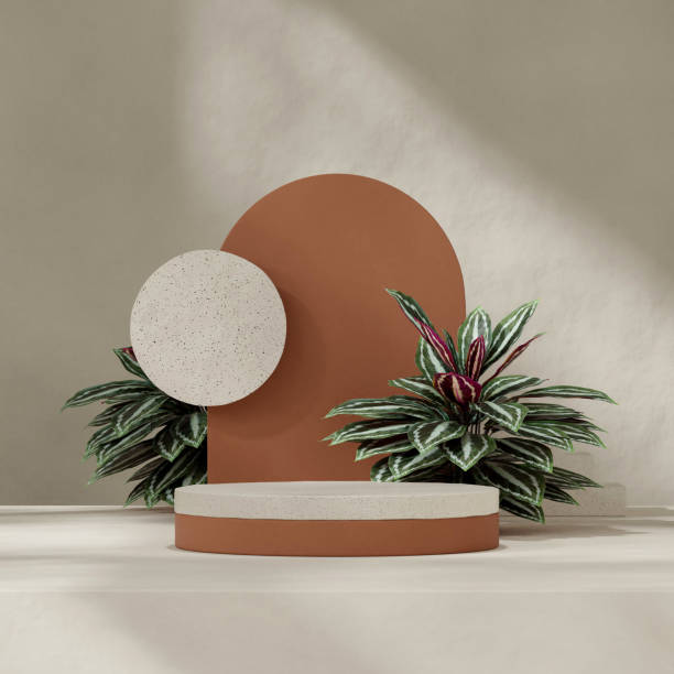 istock 3d render image scene template ceramic textured cylinder podium in square brown arch and calathea 2153818381