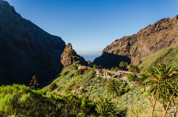 istock Serene Tropical Paradise: Lush Greenery and Majestic Cliffs Overlooking the Tranquil Ocean 2153820828