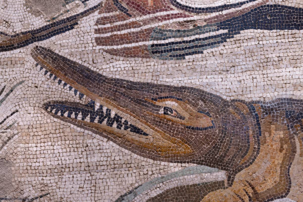 Pompeii Nilotic scene mosaic depicting crocodile in the Nile The Nilotic scene mosaic depicts exotic animals in the Nile. The House of the Faun constructed in the 2nd century BC during the Samnite period (180 BC ), was a grand Hellenistic palace that was framed by peristyle in Pompeii, Italy. nile delta photos stock pictures, royalty-free photos & images