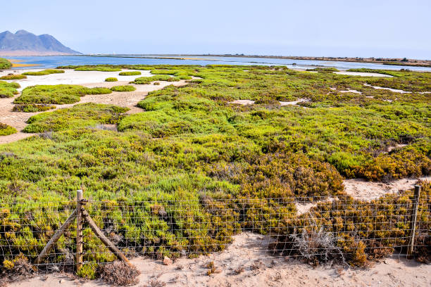 istock A lush green field with a fence in the foreground 2153823206
