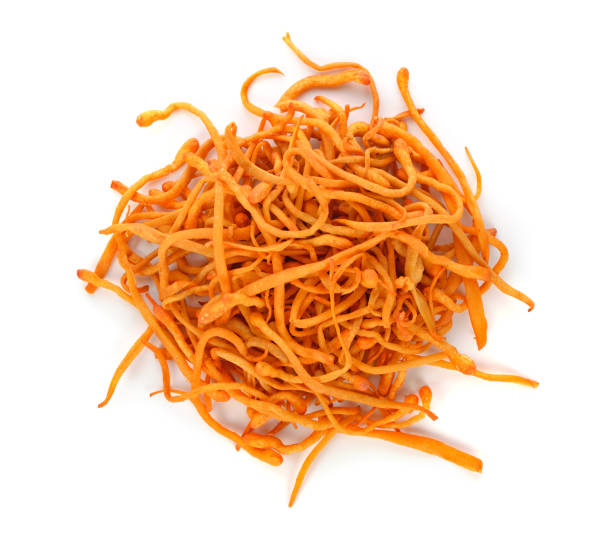 istock cordyceps militaris mushroom isolated on white background 2153833610
