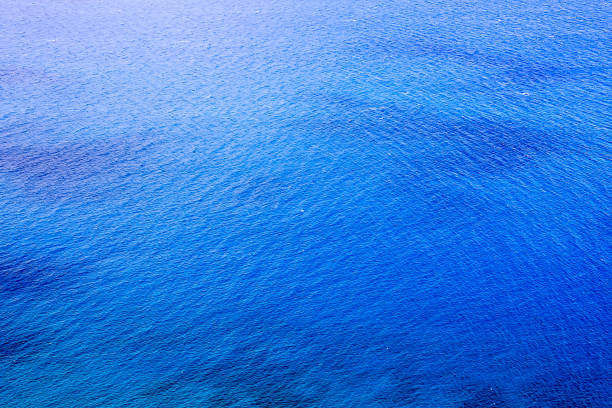 A blue ocean with a few white specks. The water is calm and peaceful. The sky is clear and bright