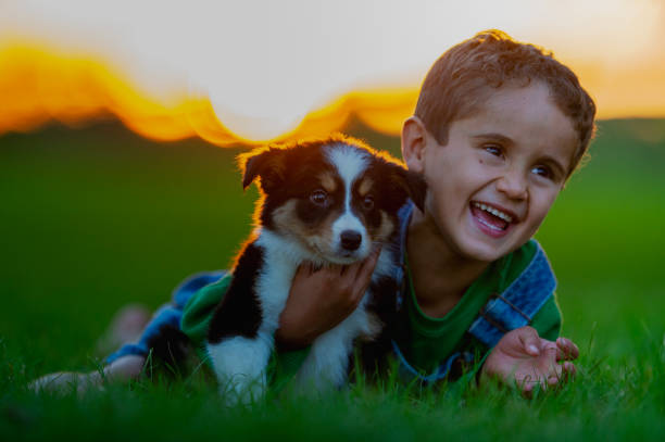 istock Little Boy and His Puppy 2153835300