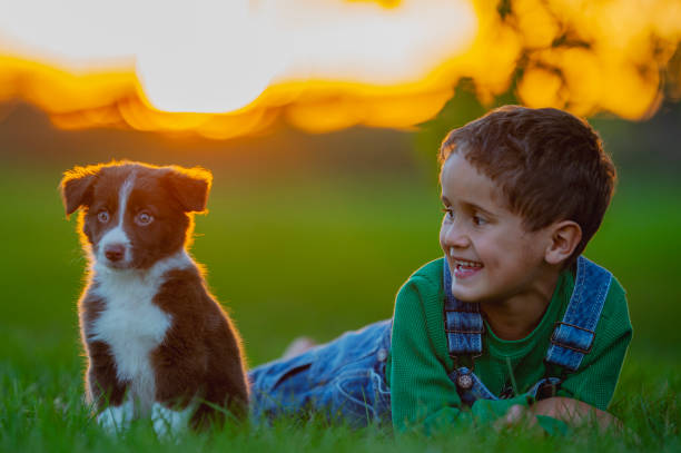 istock Little Boy and His Puppy 2153835301