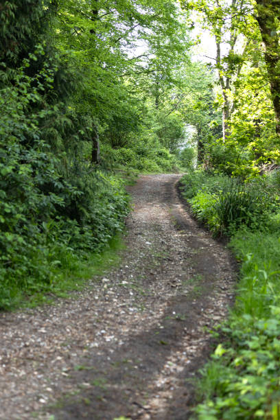 istock Countryside footpath Surrey England 2153837220