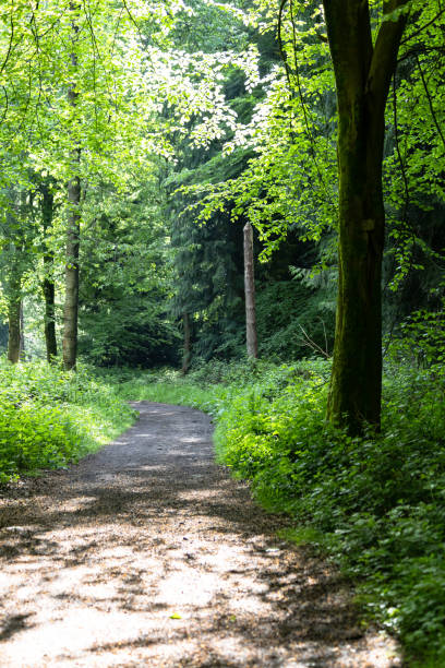 istock Countryside footpath Surrey England 2153837255