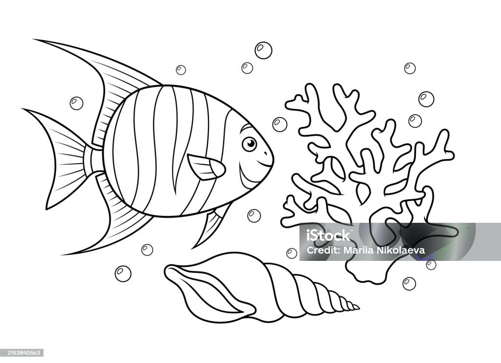 Spadefish Vector Spadefish With A Coral And A Seashell Vector Coloring Page Stock ...