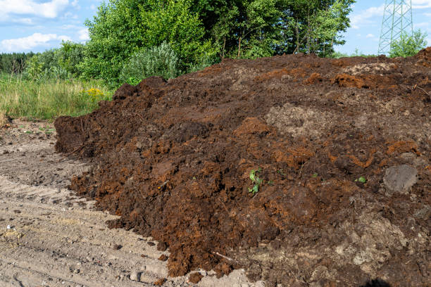 istock Digging out peat from marshy swamps, visible mountains made of peat. 2153840890
