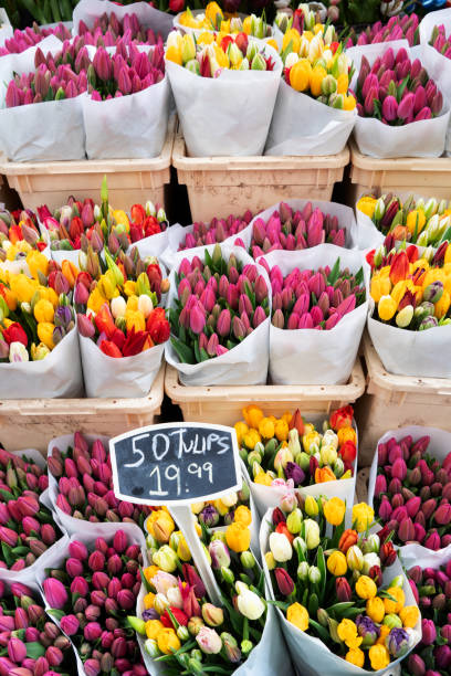 istock Colorful tulips on sale 2153843132