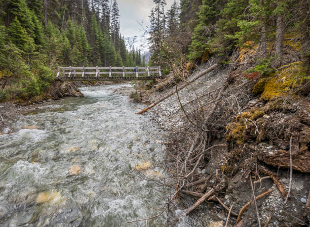istock Footbridge over Numa Creek in Kootenay 2153845924