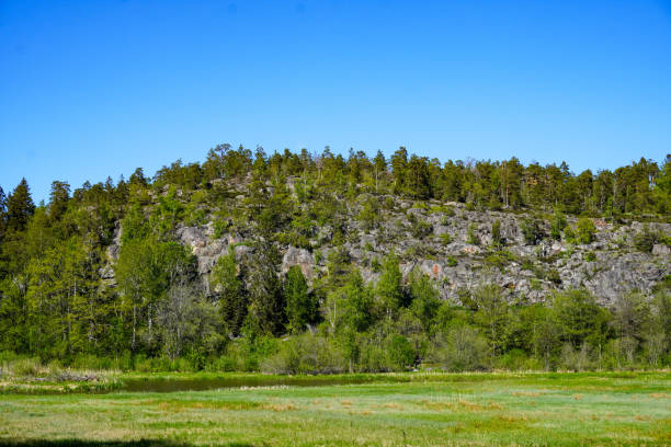 View of a mountain with a field in the foreground