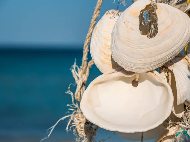 istock Seashell decoration hanging on beach with clear blue ocean in background during sunny day 2153851603