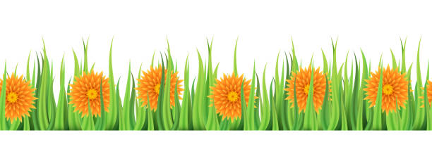 istock Seamless grass with flowers. Border of grass and flowers. Vector illustration. 2153854363