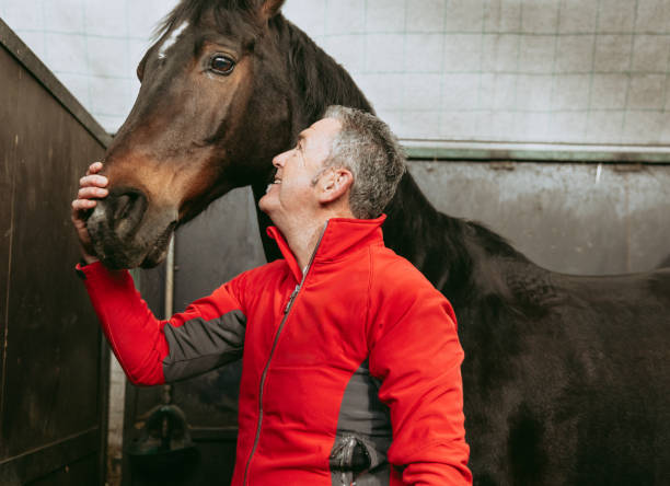 istock Joyful man interacting happily with his horse. 2153854926