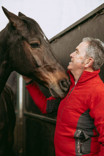 istock Happy man interacting with horse in stable 2153854931