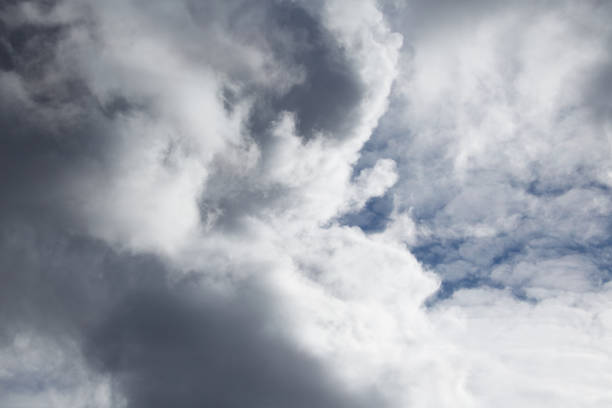 Formation of cumulonimbus clouds, inside dense cumulus clouds.