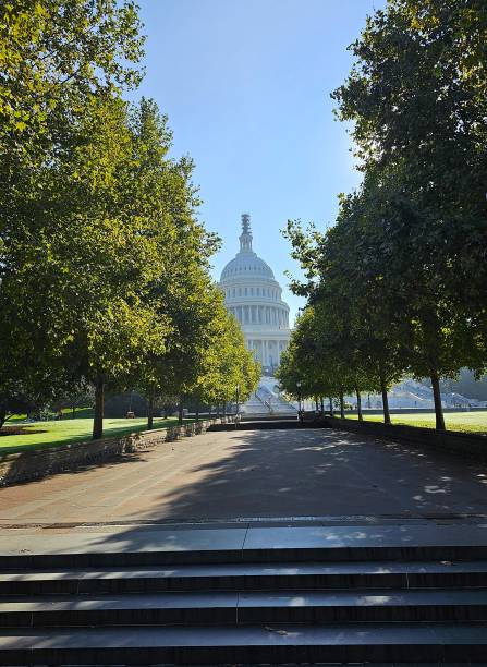 istock Footpath to the Capitol, Washington DC 2153860644