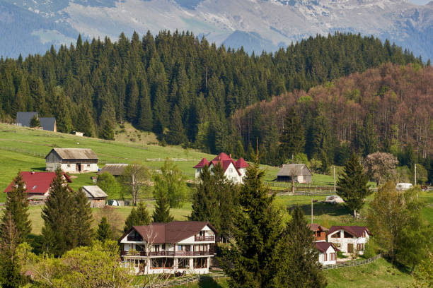 Landscape with rocky mountains and pine and fir forests