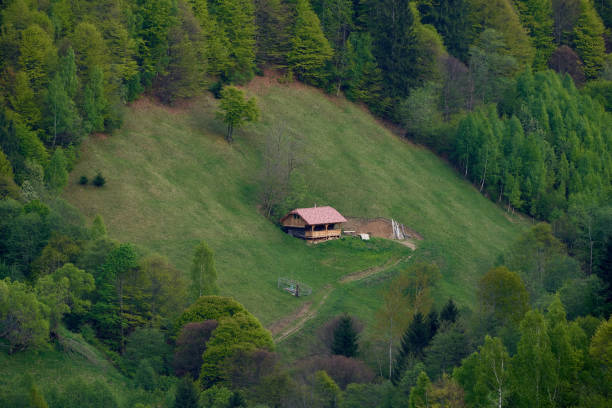 A wooden cabin stands in a lush green meadow near Lautersee in Upper Bavaria, Germany. Surrounded by forest and mountains, the scene is illuminated by bright sunlight breaking through dramatic clouds. A peaceful rural landscape in the Bavarian Alps.