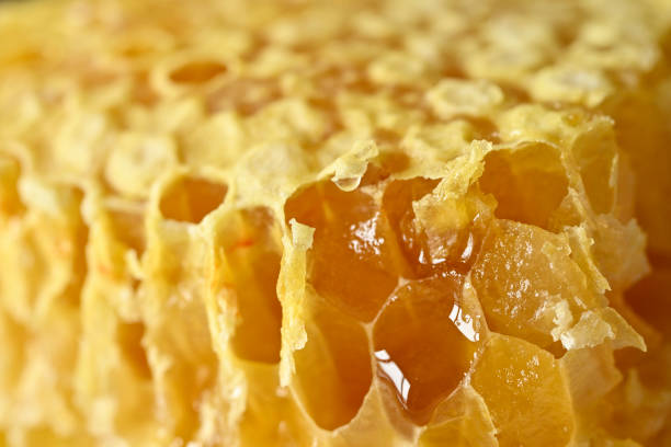 istock Honeycomb closeup series 2153862334