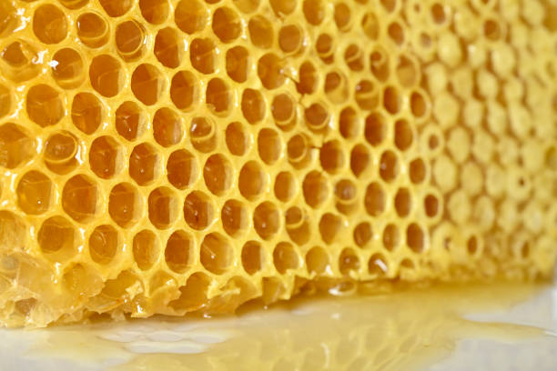 istock Honeycomb closeup series 2153862704