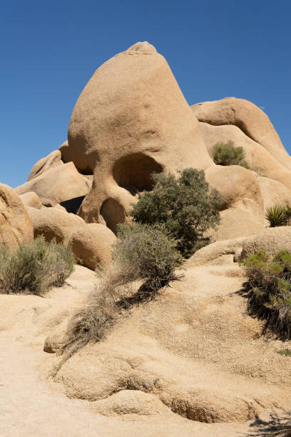 Granite rock formation known as skull rock at Joshua Tree National Park
