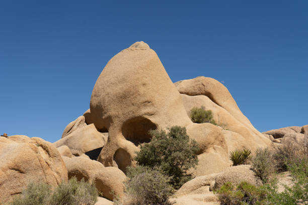 granite rock formation nown as Skull Rock  in Joshua Tree National Park