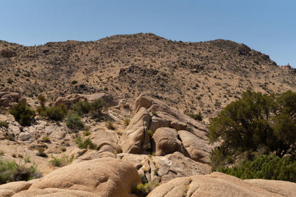 istock Joshua Tree National Park landscape 2153865025