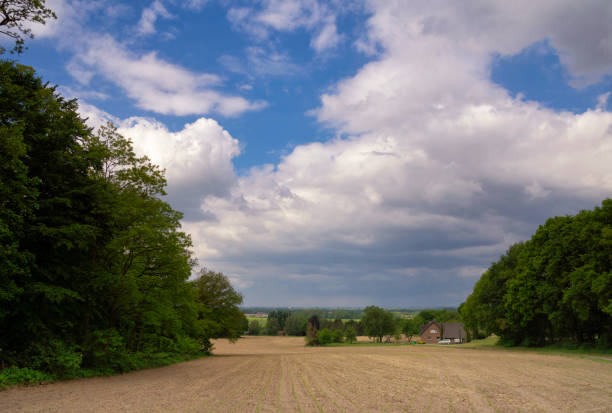 Landscape naer the German village Hoch-Elten close to the river Rhine