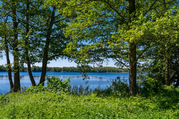 istock Peaceful view of a lake from the shore. 2153865986