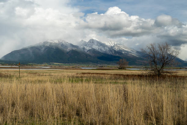 Mission Mountains from the Refuge