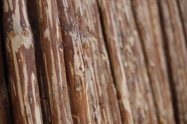 wood and timber joinery