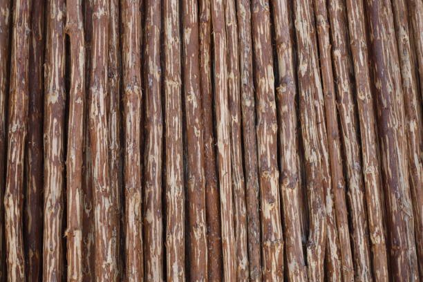 wood and timber joinery
