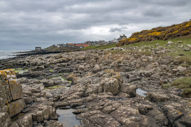 Rocky beach view towards Craster Northumberland and old fishing village