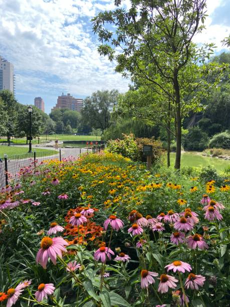 istock Colorful flowers blooming next to a path in Morningside Park, Harlem 2153878217