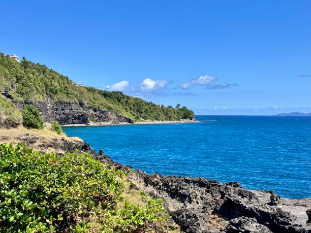 istock mountainous seaside of guadeloupe 2153878734