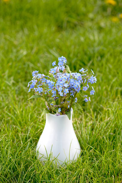 istock Forget-me-not flowers on green grass 2153880085