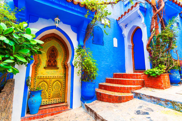 Chefchaouen, Morocco: Blue narow stairs with colourful walls and flowerpots into old walled city, or medina, North Africa Chefchaouen, Morocco: Blue narow stairs with colourful walls and flowerpots into old walled city, or medina, North Africa travel destination chefchaouen stock pictures, royalty-free photos & images