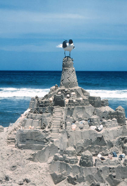 North Carolina Outer Banks - Nags Head - Sandcastle & Gull - 2008