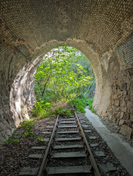 istock Tunnel railway tracks that ends in the nature forest 2153883586