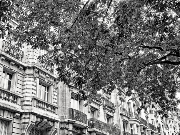 Apartments seen along a tree lined boulevard Paris France