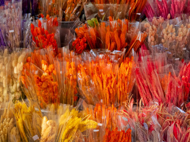 One of many flower shops with an outdoor sidewalk display seen along the streets of Paris France