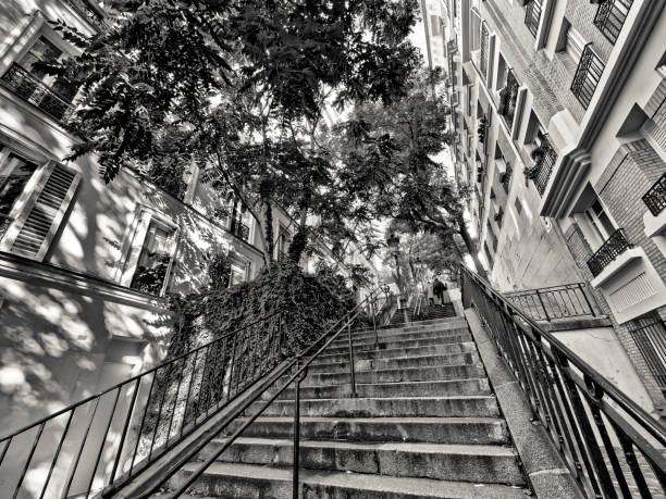 One of the many classic steep stairways in the Montmartre district in Paris France